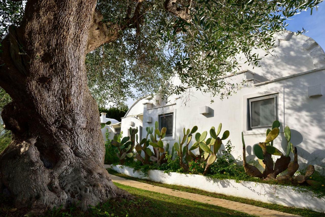 B&B Trullo Barbagiullo Чистернино Экстерьер фото
